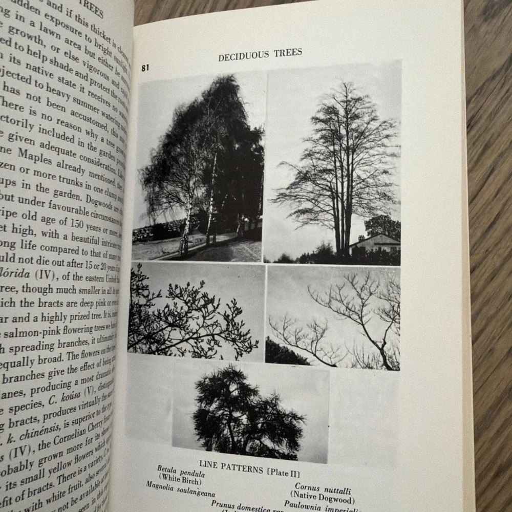 Trees and Shrubs for Pacific‎ Northwest Gardens - Paperback - VERY GOOD